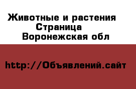  Животные и растения - Страница 2 . Воронежская обл.